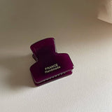 MINIMALIST GOLD TONE MINI TORTOISE HAIR CLAW_CWAHA4016