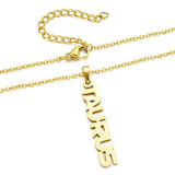 CLAVICLE CHAIN TWELVE ZODIAC TITANIUM NECKLACE_CWMM2717