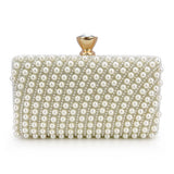 Vintage Elegant Square Clutch_Cwab2512