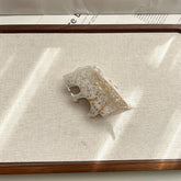 NEW ACETATE LEOPARD CLAW CLIP MEDIUM CARTOON CLIP_CWAHA5896