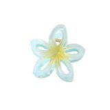 Cwaha1383_Gradient Flower Hair Claw Clip