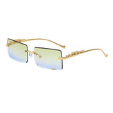 FASHION SQUARE FRAME LEOPARD SUNGLASSES_CWASG0735