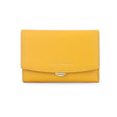 MINIMALIST MULTI CARD FOLDING WALLET_CWAB1660