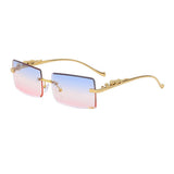 FASHION SQUARE FRAME LEOPARD SUNGLASSES_CWASG0735