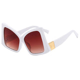 IRREGULAR LARGE FRAME SUNGLASSES_CWASG0130