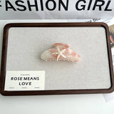 DREAMY STARFISH CLAW CLIP OCEAN GRADIENT DESIGN_CWAHA5893