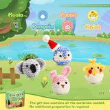 Woolen Doll Crochet Material Package_Cwmm0810