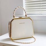 Fashionable Chain Dinner Bag_Cwab1573