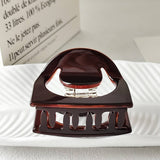 Elegant Arched Acetate Hair Claw ? Niche Hairpin_Cwaha07189
