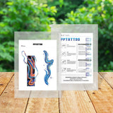 CUTE DOODLE TATTOO STICKERS COLORFUL FIREWORK SET_CWMM8357