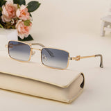 FASHIONABLE SMALL SQUARE FRAME SUNGLASSES_CWASG0745