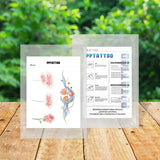 CUTE DOODLE TATTOO STICKERS COLORFUL FIREWORK SET_CWMM8357