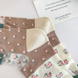 RETRO NEW GARDEN TRANSPARENT SOCKS_CWMS0555