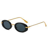 OVAL RETRO HIGH END SUNGLASSES_CWASG0523