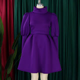 TEMPERAMENT HIGH COLLAR SLIM WAIST A LINE DRESS_CWDSD6086