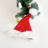 Cwah4066_Christmas Creative Adult Santa Hat