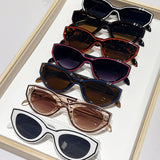 PAINTED CAT EYE SUNGLASSES_CWASG0420