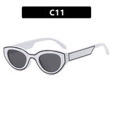 2024 NEW RETRO DOT PAINT CAT EYE SUNGLASSES_CWASG0313