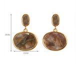 RETRO PERSONALITY NATURAL ABALONE EARRINGS_CWMM4297