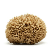 NATURAL WOOL SPONGE BATH SUPER SOFT BATH SPONGE_CWMM3420