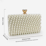 Vintage Elegant Square Clutch_Cwab2512