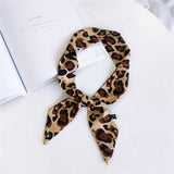 Cwasc2381_New Binding Bag Leopard Print Scarf