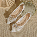 LACE AND RHINESTONE POINTED TOE FLATS_CWSHS0706