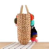 NEW NATURAL HANDWOVEN BAG_CWAB2102