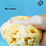 HARD HEAD EXFOLIATING NATURAL SPONGE VELVET SPONGE_CWMM3422