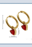 18K Gold Plated Stainless Steel Earrings_Cwaje0382