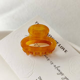 Summer Acetate Hair Claw ? Vintage Half-Up Clip_Cwaha07247