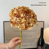 AUTUMN VINTAGE SINGLE STEM BURNT EDGE HYDRANGEA_CWMM6480