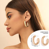 METAL WIND CIRCULAR RING THICK CHAIN EARRINGS_CWAJE1153
