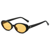 RETRO SMALL OVAL FRAME SUNGLASSES_CWASG0479