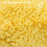 HARD HEAD EXFOLIATING NATURAL SPONGE VELVET SPONGE_CWMM3422