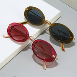 OVAL RETRO HIGH END SUNGLASSES_CWASG0523