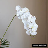 PREMIUM SILK 9 HEAD PHALAENOPSIS ORCHID HOME DECOR_CWMM6479