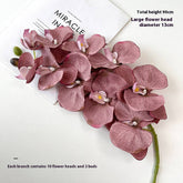 Vintage 10-Head Phalaenopsis Orchid Home Decor_Cwmm6468