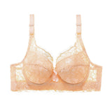 Women Plus Lace Adjustable Bra_Cwmu0061