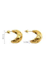 18K Gold Plated Stainless Steel Earrings_Cwaje0400