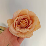 2024 NEW HIGH END ROSE HAIRPINS_CWAHA1168