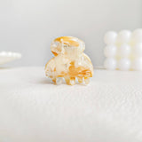 MINI DOPAMINE HAIR CLAW CUTE ACETATE CLIP_CWAHA0717
