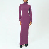 Stylish Elegance High-Neck Fit Long-Sleeved Dress