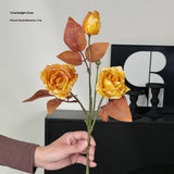 Vintage Autumn Oil Painting Burnt Rose_Cwmm6514