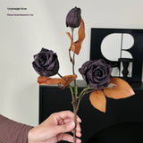 Vintage Autumn Oil Painting Burnt Rose_Cwmm6514