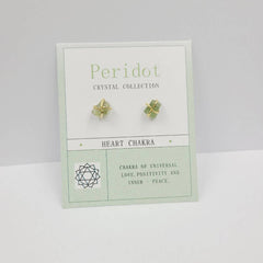 NATURAL STONE FOUR CLAW EARRINGS_CWAJE1070