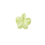 CANDY COLOR PLUMERIA CLAW CLIP SMALL FLOWER CLIP_CWMM4939