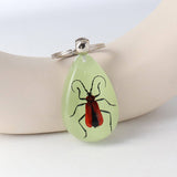 AMBER GLOW IN THE DARK INSECT KEYCHAIN PENDANT_CWMM3698