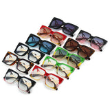 CAT EYE CURVED TEMPLE FASHION SUNGLASSES_CWASG0536