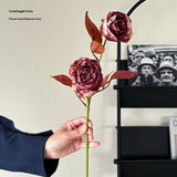 Vintage Ink-Styled Rose Bouquet With Dry Leaves_Cwmm6576